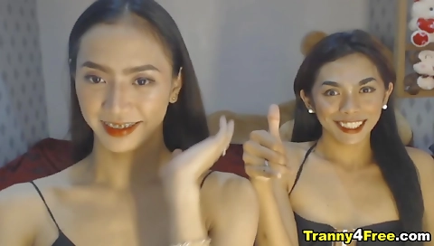 A shemale amateur video with cumshot in the action